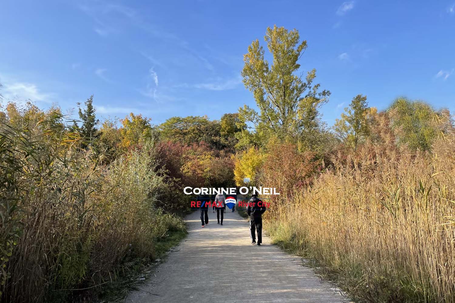 Erin Ridge North Real Estate for sale is a great idea! Read why here!