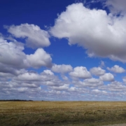 guide to living in St.Albert Alberta 2026
