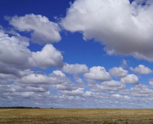 guide to living in St.Albert Alberta 2026